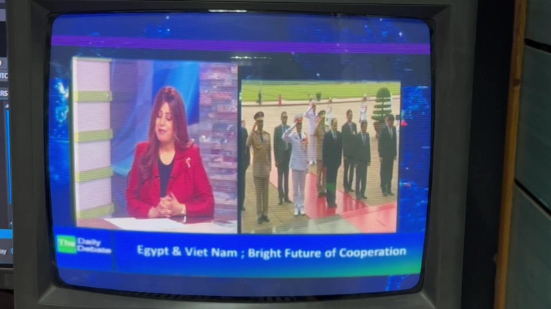 Ai Cập phát sóng trực tiếp về quan hệ Việt Nam-Ai Cập