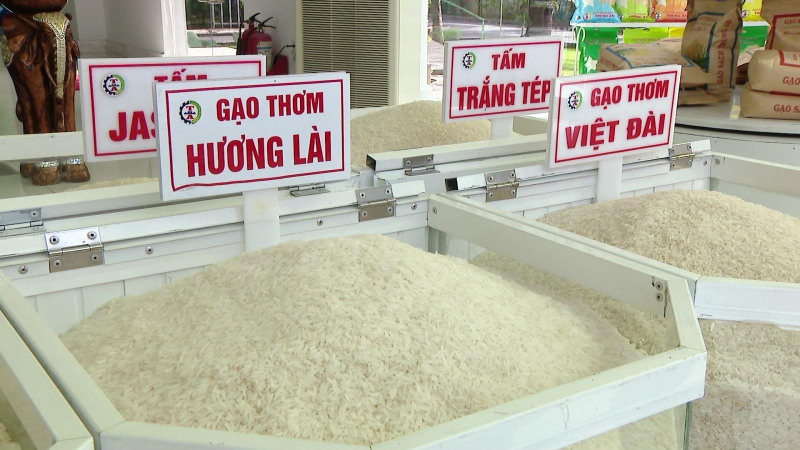 Giá gạo Việt tăng cao nhất hai năm