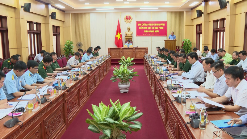 Ban chỉ đạo phòng không nhân dân Trung ương kiểm tra ban chỉ đạo phòng không nhân dân tỉnh Quảng Ngãi