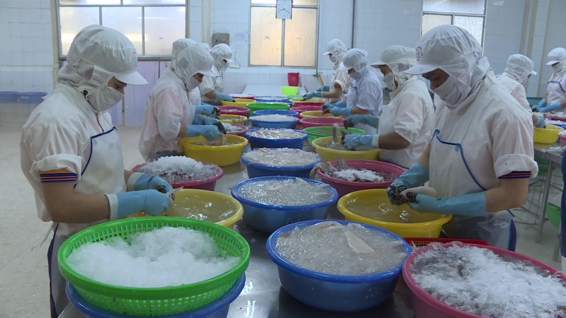 Xuất khẩu thủy sản c&oacute; t&iacute;n hiệu t&iacute;ch cực
