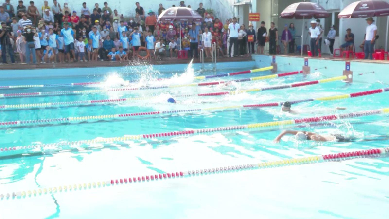 Khai mạc giải bơi thiếu niên, nhi đồng các câu lạc bộ