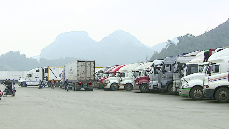 Đề xuất mở rộng danh mục nông, thủy sản xuất khẩu