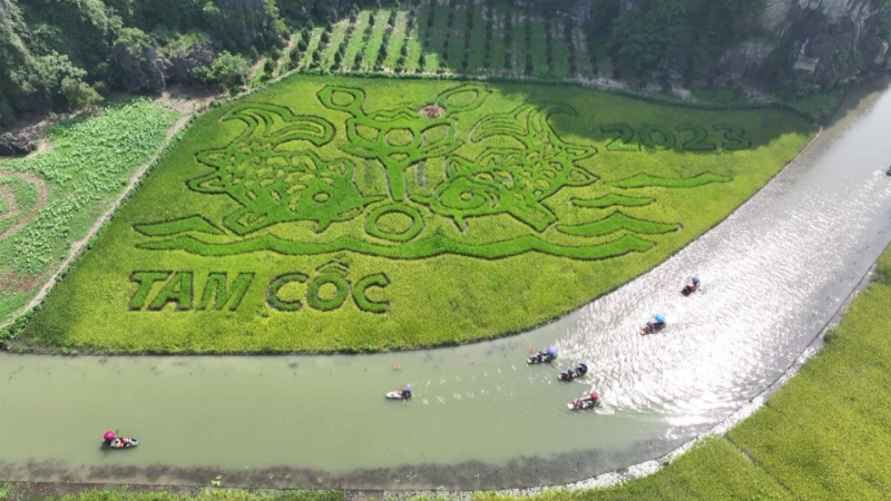 "Sắc vàng Tam Cốc-Tràng An" điểm đến mong đợi