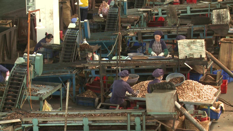 Cảnh báo hình thức thanh toán rủi ro khi giao thương quốc tế