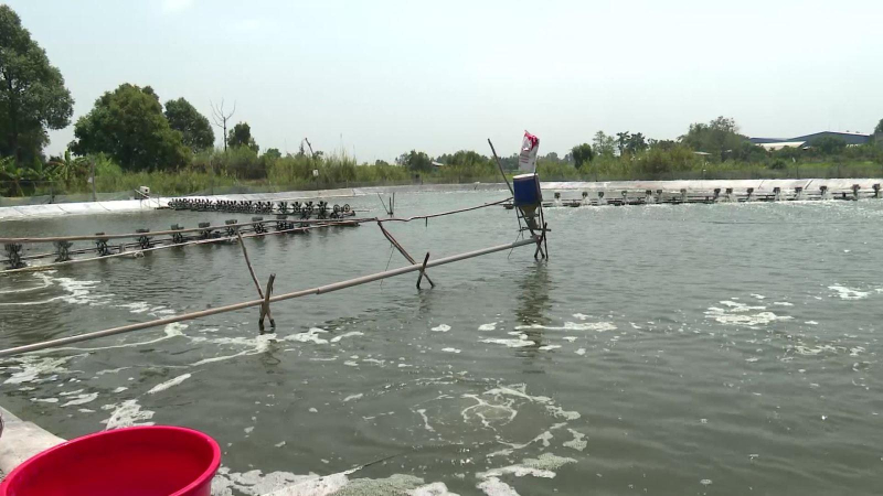 Khoảng 15.000 tỷ đồng tín dụng dàng cho lĩnh vực lâm sản, thủy sản