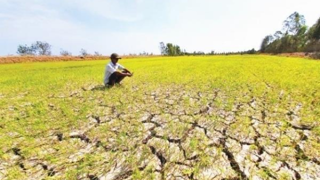 ​Phê duyệt quy hoạch phòng, chống thiên tai