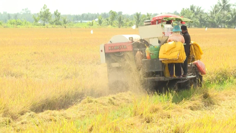 Ba rủi ro của El Nino với kinh tế Việt Nam