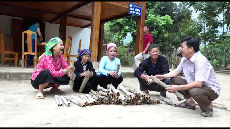 Kim ngạch xuất khẩu quế tăng