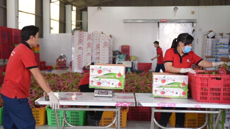 Xuất khẩu nông, lâm, thủy sản đạt hơn 33 tỷ USD