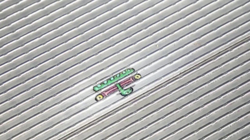 Biến bã kẹo cao su thành những tác phẩm nghệ thuật