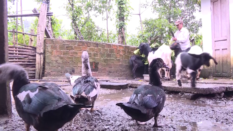 Nâng cao năng lực cho hộ nghèo, cận nghèo