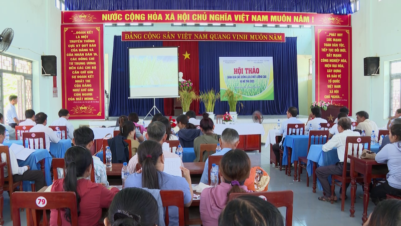 Hội thảo về ba giống lúa của Thừa Thiên Huế
