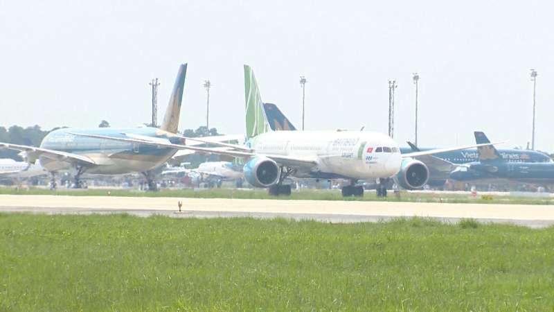 Hãng hàng không Việt chiếm 12% thị phần air cargo