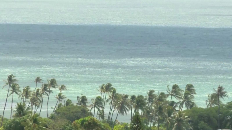 WMO cảnh báo mực nước biển dâng nhanh ở Thái Bình Dương