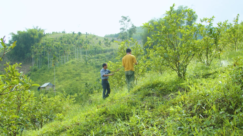 Hỗ trợ sinh kế phù hợp giúp giảm nghèo bền vững