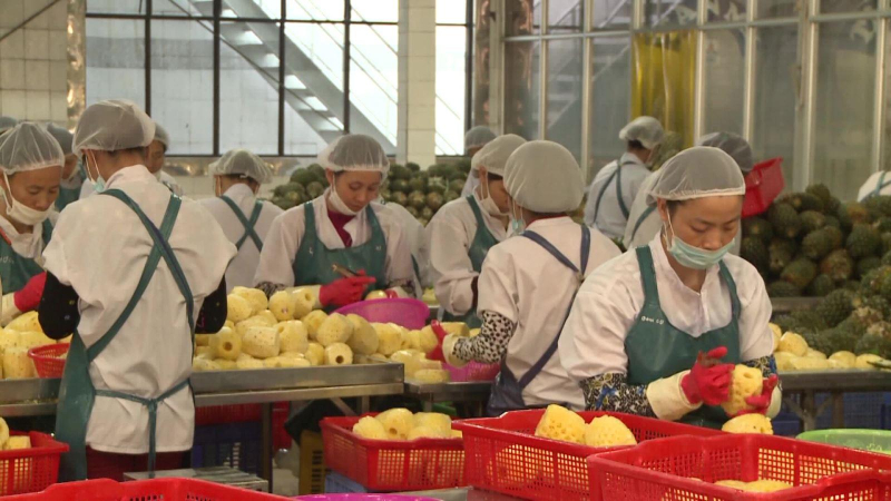 Xuất khẩu rau quả c&oacute; thể đạt mốc 2,5-2,7 tỷ USD