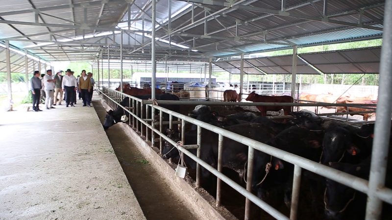 Th&agrave;nh tựu một nhiệm kỳ đổi mới của Hội N&ocirc;ng d&acirc;n tỉnh Quảng Ng&atilde;i