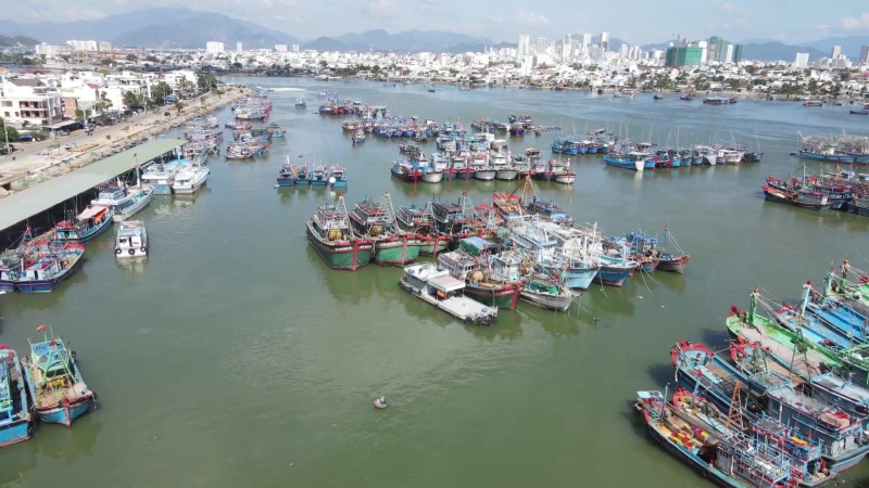 EU &aacute;p th&ecirc;m quy định mới với thủy sản Việt Nam