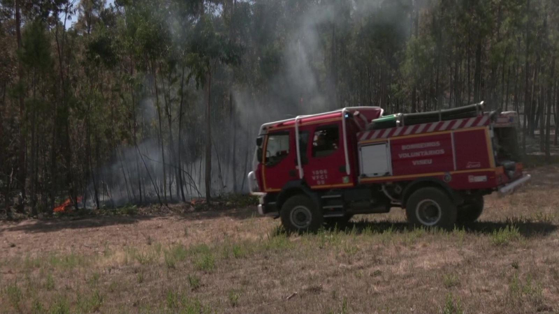 Cháy rừng nghiêm trọng ở Bồ Đào Nha