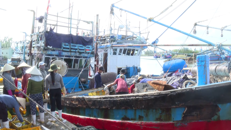 Ngư d&acirc;n v&ugrave;ng biển Mỹ &Aacute; được m&ugrave;a biển