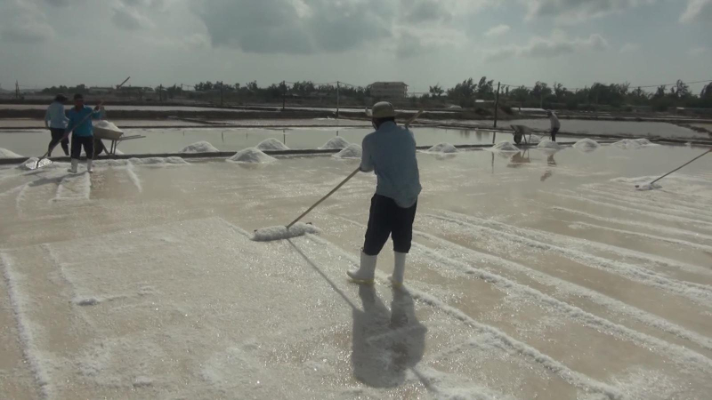 Việt Nam nhập khẩu hàng tỷ USD tiền muối mỗi năm