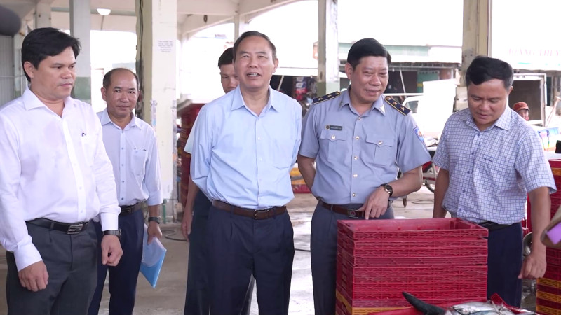 Kiểm tra chống khai thác IUU tại Quảng Ngãi