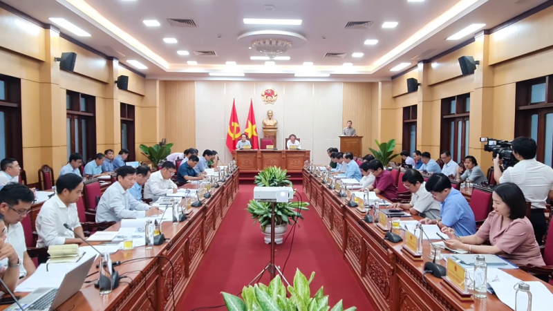 Cho &yacute; kiến Đồ &aacute;n Quy hoạch ph&acirc;n khu tỷ lệ 1/2000 Khu C&ocirc;ng nghiệp, đ&ocirc; thị, dịch vụ B&igrave;nh Thanh