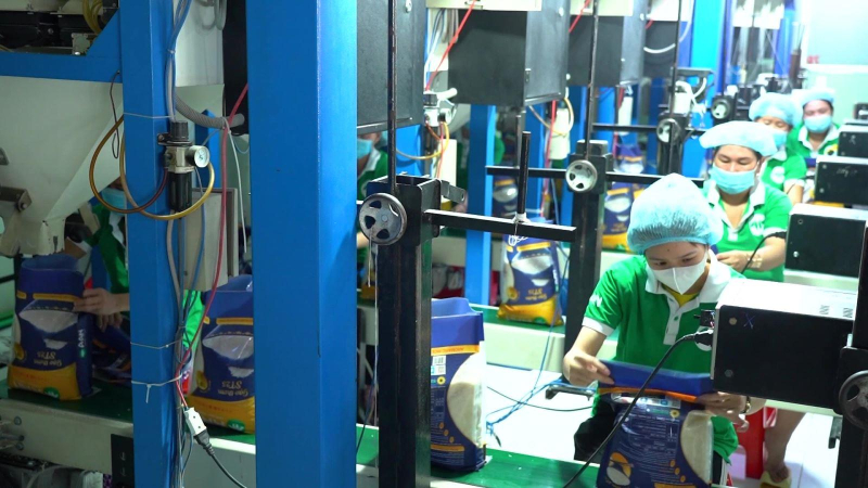 Việt Nam đang xuất nhiều gạo nhất thế giới