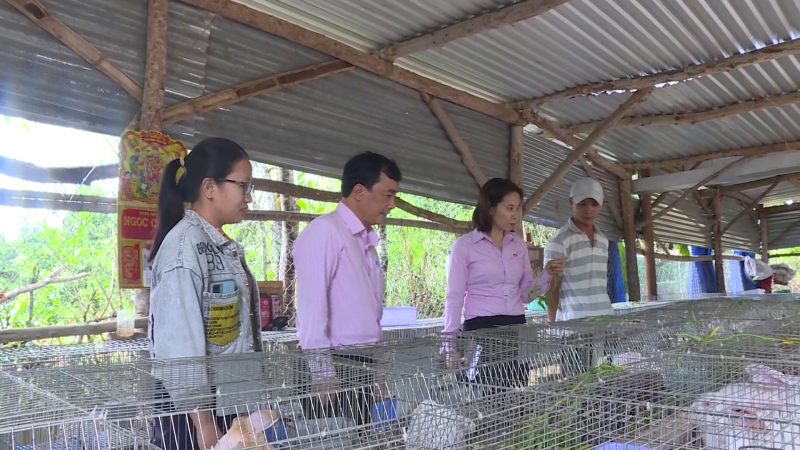 Nghĩa Hòa với nhiều mô hình chăn nuôi mới