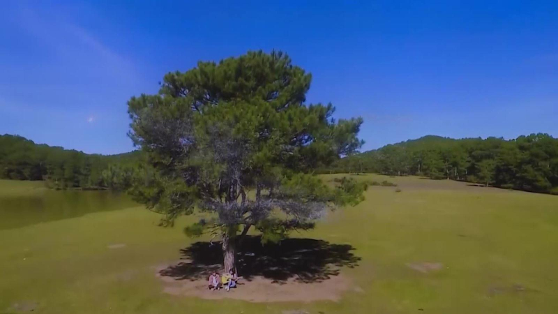 91 bộ phim dự thi tại Liên hoan Phim Việt Nam lần thứ XXIII