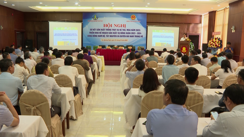 Triển khai sản xuất vụ Đông Xuân vùng Đông Nam Bộ, Tây Nguyên và Duyên hải Nam Trung Bộ