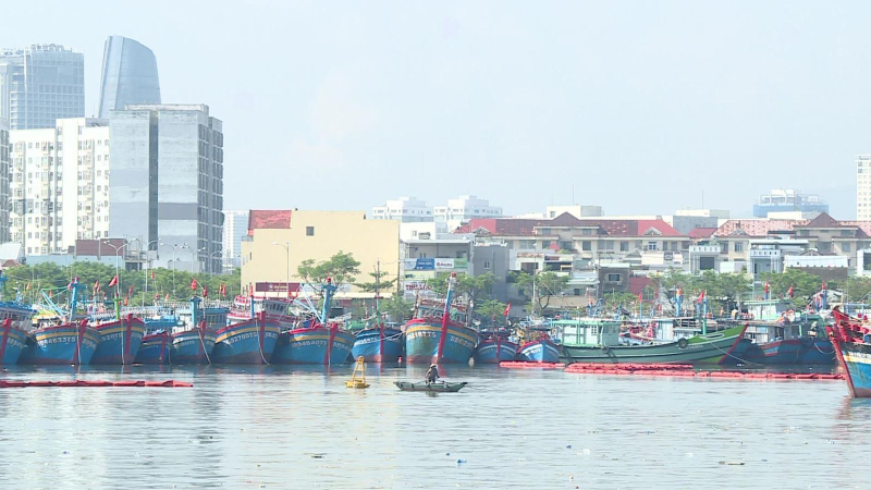 An toàn vươn khơi mùa mưa bão