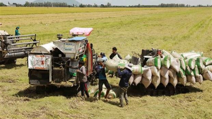 Việt Nam đảm bảo an ninh lương thực trong mọi tình huống