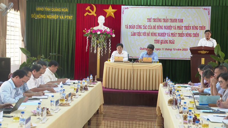 Thứ trưởng Bộ Nông nghiệp và Phát triển Nông thôn làm việc tại Quảng Ngãi