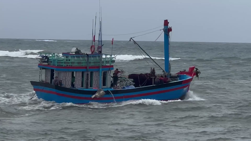 Kiểm so&aacute;t chặt t&agrave;u thuyền trước thời tiết chuyển biển xấu