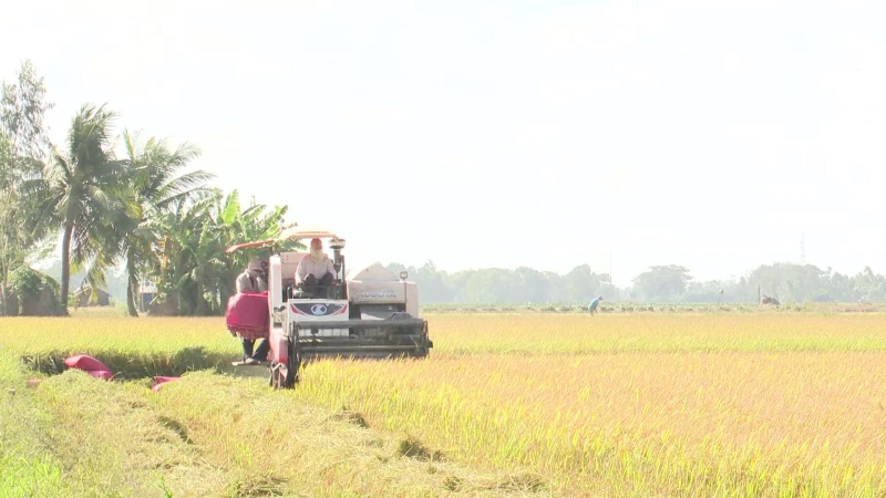 Kim ngạch xuất khẩu gạo vượt mốc cả năm 2022