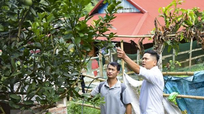 Điện Biên: Gặp gỡ người xây dựng 12 đường nhân ái kết nối các bản làng