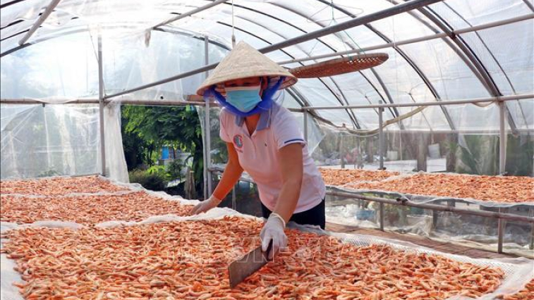Nghề l&agrave;m t&ocirc;m kh&ocirc; C&agrave; Mau l&agrave; Di sản Văn h&oacute;a phi vật thể quốc gia