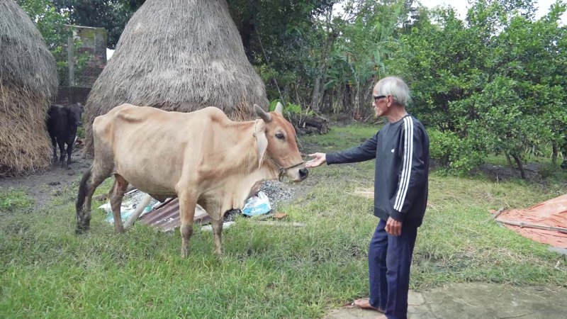 Đa dạng hóa sinh kế để giảm nghèo bền vững