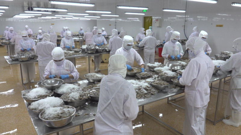 Xuất khẩu tôm ước đạt 3,6 tỷ USD