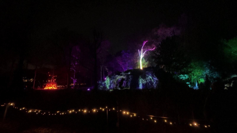 “Dạ tiệc ánh sáng” mừng Giáng Sinh