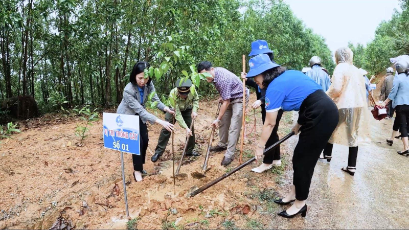 Hội Li&ecirc;n hiệp Phụ nữ tỉnh ph&aacute;t động &ldquo;Tết trồng c&acirc;y&rdquo;