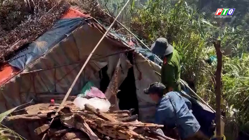 Truy quét khai thác vàng trái phép