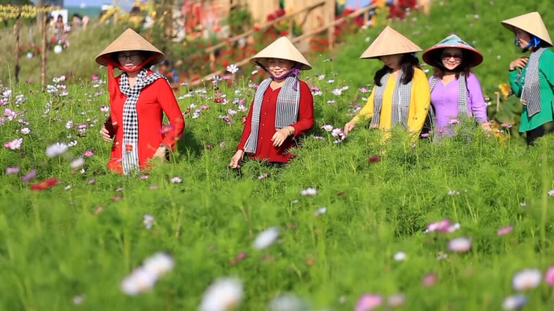 Phát triển du lịch nông nghiệp ở ven đô