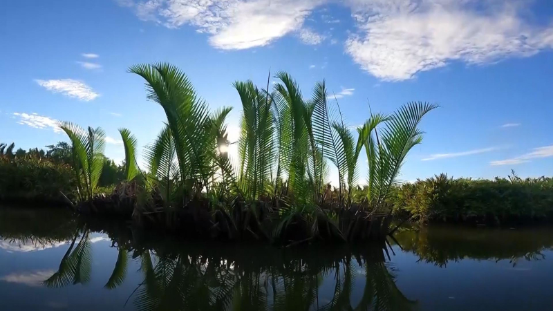 Phát triển điểm du lịch cộng đồng rừng dừa nước Tịnh Khê