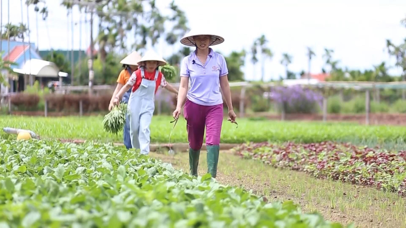 Phát triển nông nghiệp hữu cơ kết hợp với du lịch trải nghiệm