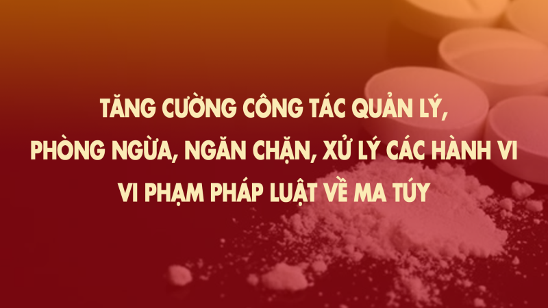 Tăng cường công tác quản lý, phòng ngừa, ngăn chặn, xử lý các hành vi vi phạm pháp luật về ma túy