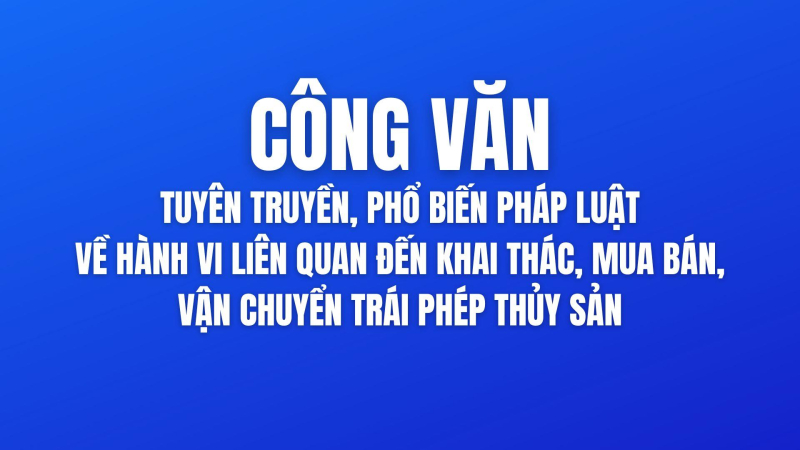 Quảng Ngãi triển khai thực hiện Nghị quyết số 04/NQ-HĐTP