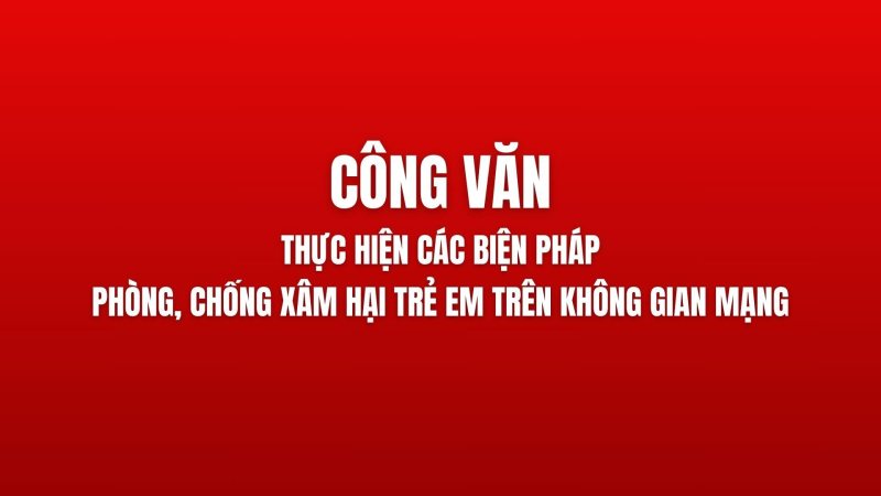 Quảng Ngãi: Thực hiện các biện pháp phòng, chống xâm hại trẻ em trên không gian mạng