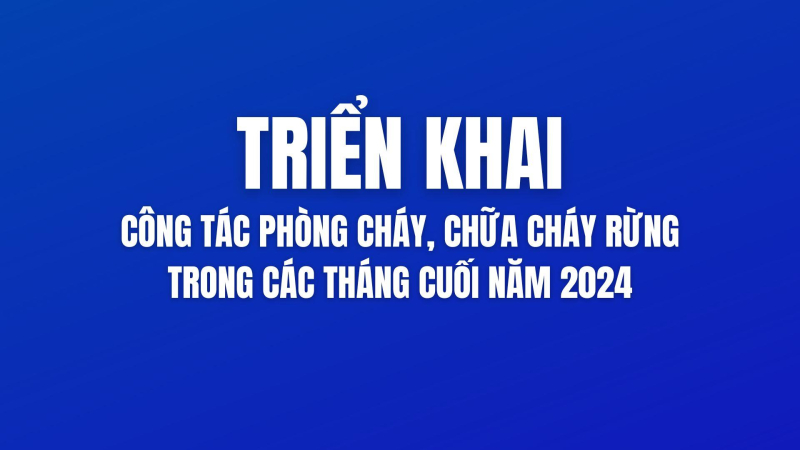 Tiếp tục triển khai thực hiện hiệu quả công tác phòng cháy, chữa cháy rừng